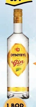 Dynybyl Gin