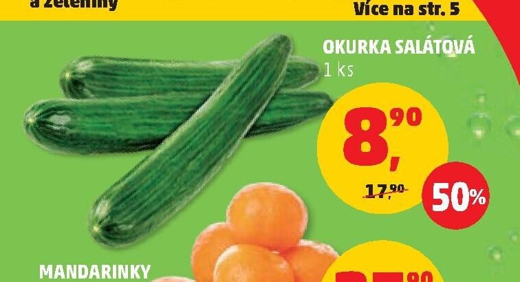 OKURKA SALÁTOVÁ