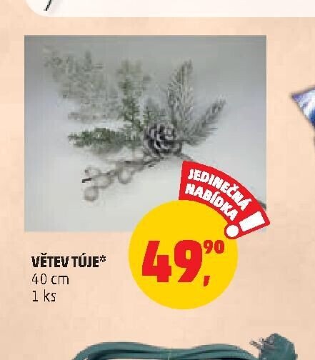 VĚTEV TÚJE