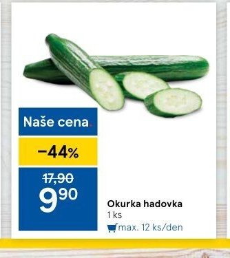 Okurka hadovka