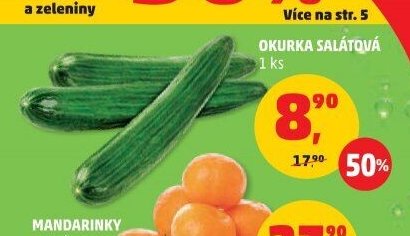 OKURKA SALÁTOVÁ