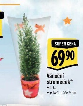 Vánoční stromeček