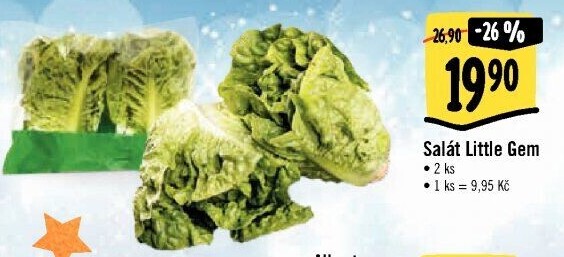 Salát little gem