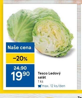 Tesco Ledový salát