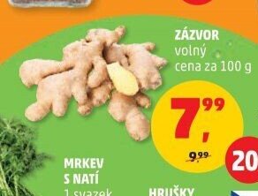 Zázvor