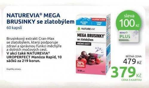 NATUREVIA MEGA BRUSINKY se zlatobýlem