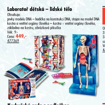 Laboratoř dětská – lidské tělo