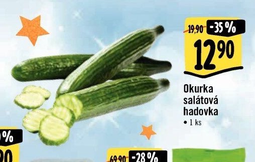 Okurka salátová hadovka