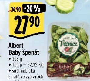 Špenát baby Albert