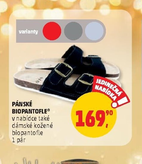 Pánské biopantofle