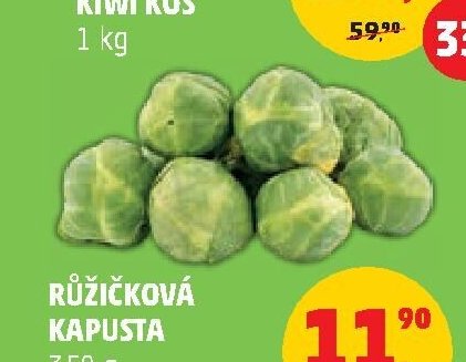 RŮŽIČKOVÁ KAPUSTA