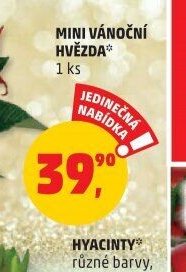 MINI VÁNOČNÍ HVĚZDA