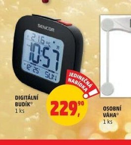 DIGITÁLNÍ BUDÍK