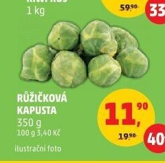 Růžičková kapusta