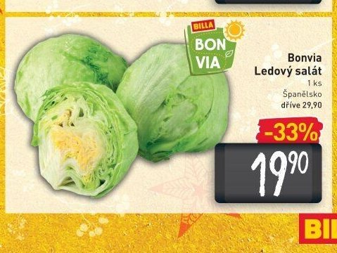 Bonvia Ledový salát