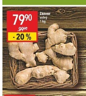 Zázvor
