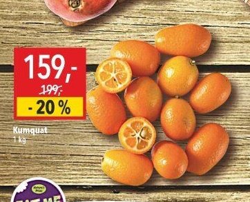 Kumquat
