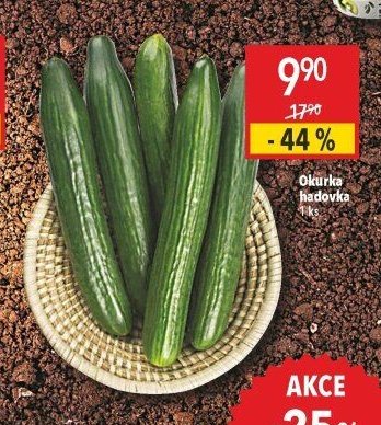 Okurka hadovka