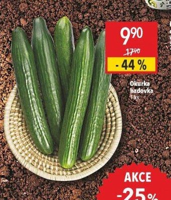 Okurka hadovka