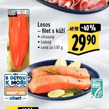 Losos – filet s kůží