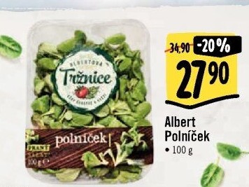 Salát polníček Albert