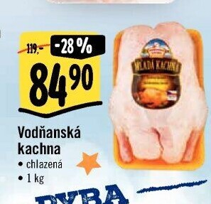 Kachna Vodňanská kachna