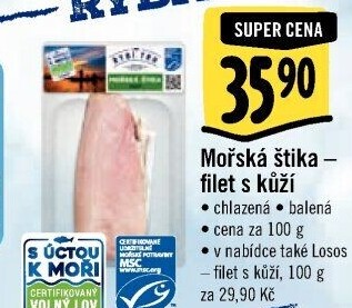 Mořská štika filety Albert