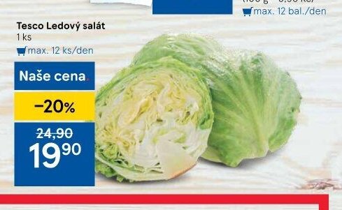 Tesco Ledový salát