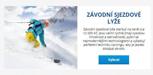 ZÁVODNÍ SJEZDOVÉ LYŽE