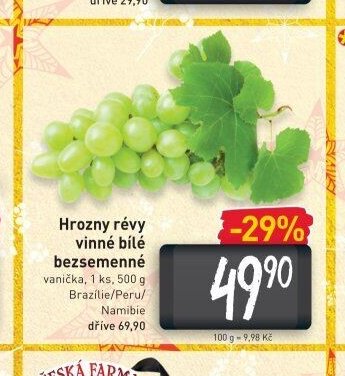 Hrozny révy vinné bílé bezsemenné