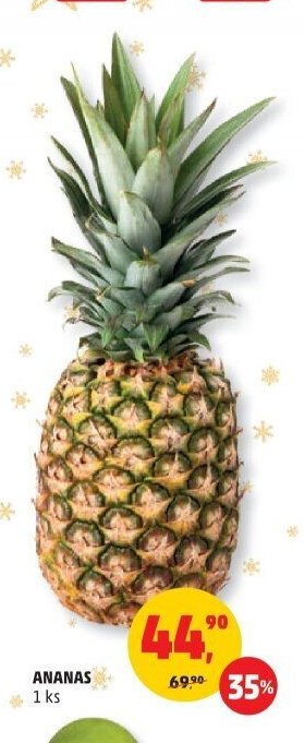 ANANAS 1 ks
