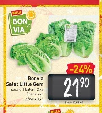 Bonvia Salát Little Gem