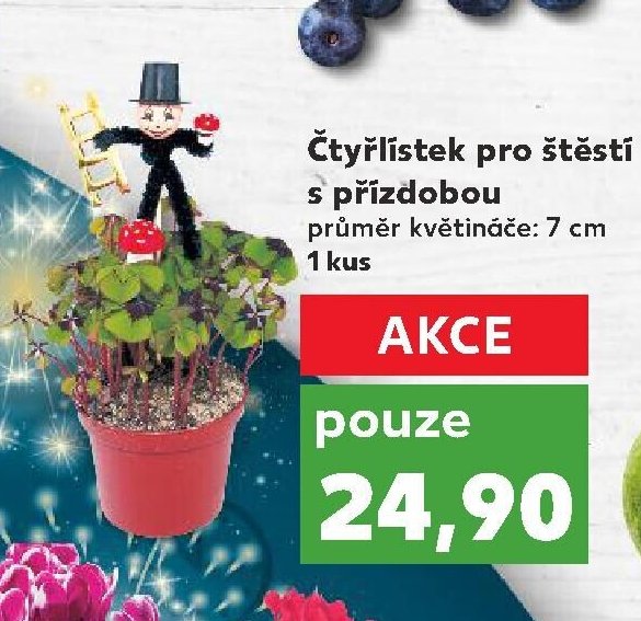 Čtyřlístek pro štěstí s přízdobou