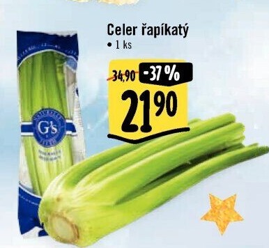 Celer řapíkatý