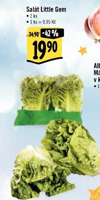 Salát little gem