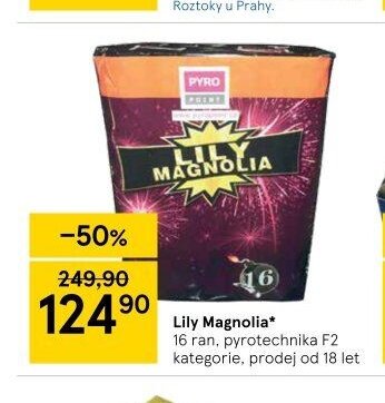 Lily Magnolia