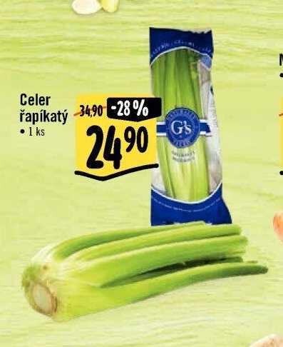 Celer řapíkatý