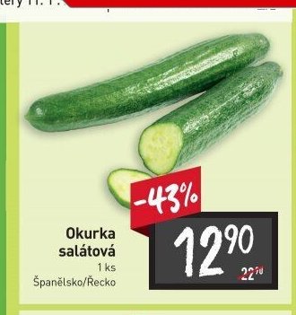 Okurka salátová