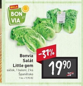 Bonvia Salát Little gem