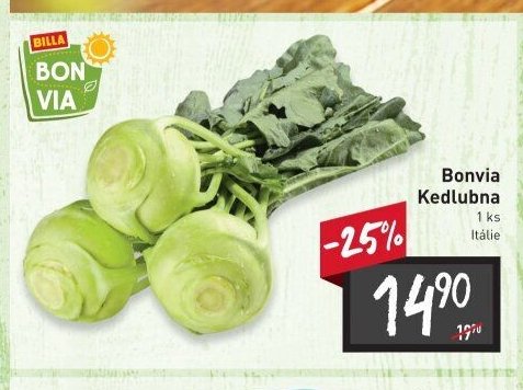 Bonvia Kedlubna