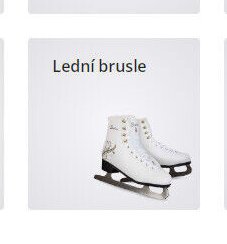 Lední brusle