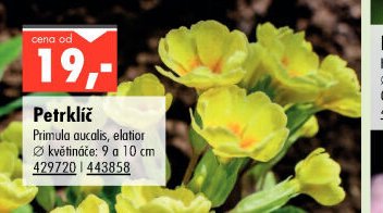 Petrklíč - UNI HOBBY akcniletaky.com
