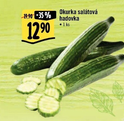 Okurka hadovka