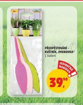 PŘEDPĚSTOVÁNÍ - KVĚTNÍK, JMENOVKA
