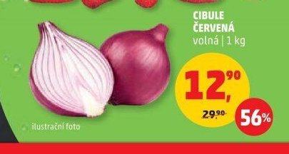 Cibule červená