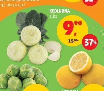 KEDLUBA