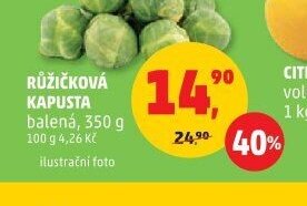 RŮŽIČKOVÁ KAPUSTA