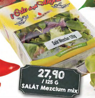Salát Mezclum mix