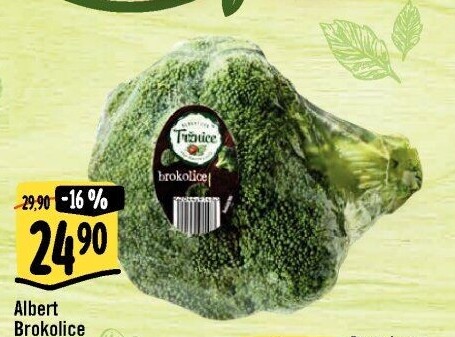 Brokolice Albert