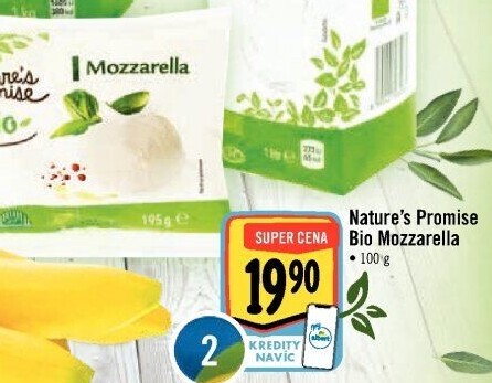 Mozzarella bio Nature'